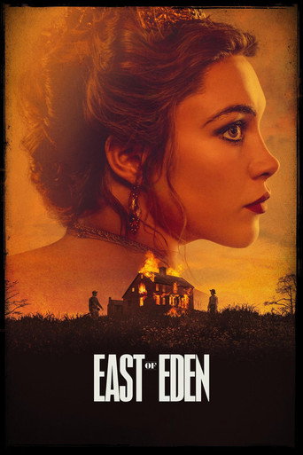 Movie or series poster