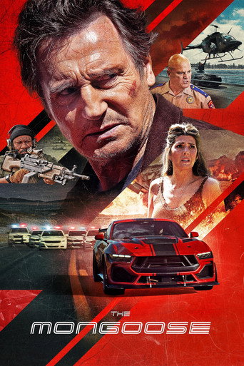Movie or series poster