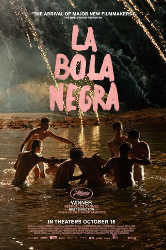 Movie or series poster