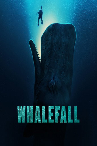 Movie or series poster